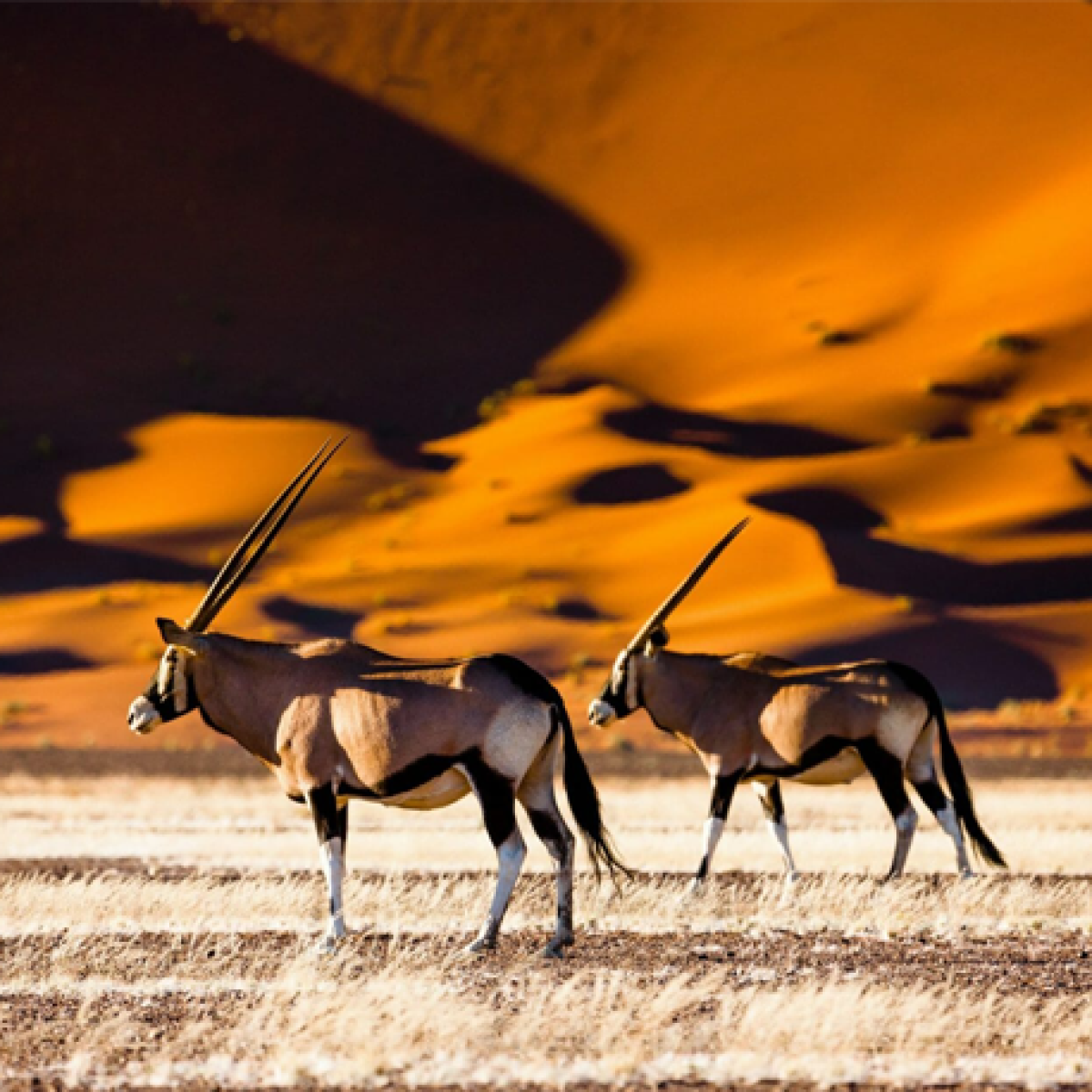 Namibia
