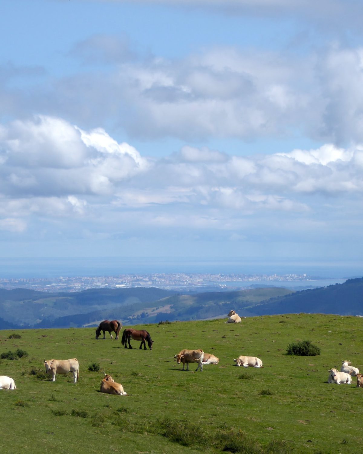 Paisaje