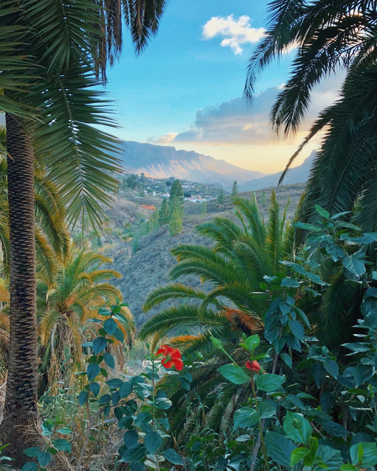 Gran Canaria
