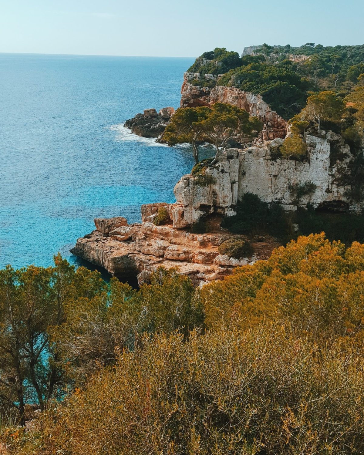 Cala